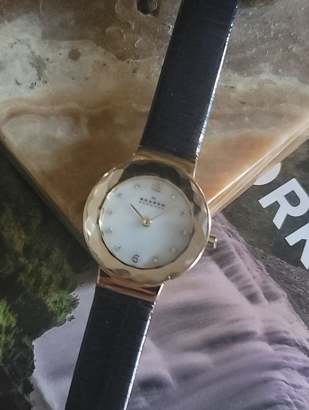SKAGEN Navy Blue Leather Watch